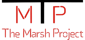 The Marsh Project